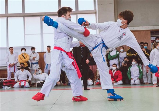 Karate tournament of overseas Vietnamese held in Japan